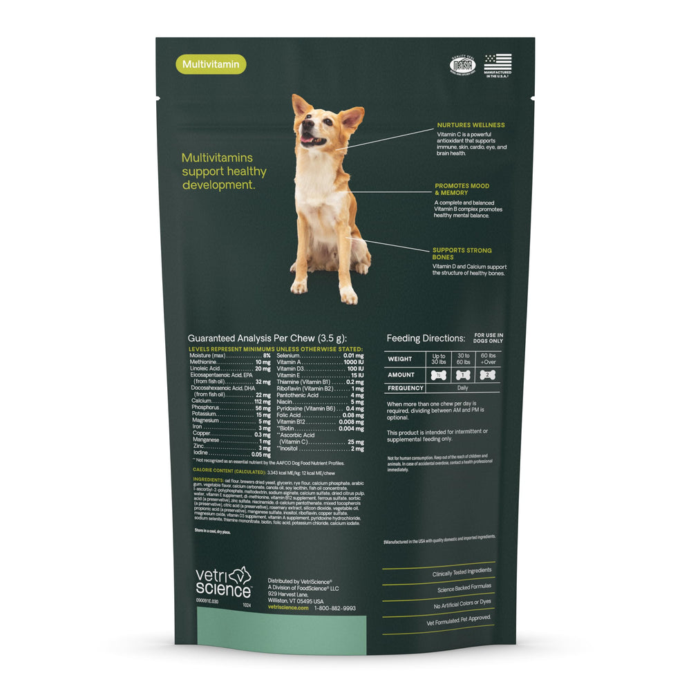 VETRISCIENCE chien heureux après prise montrant énergie, pelage sain et bien-être général