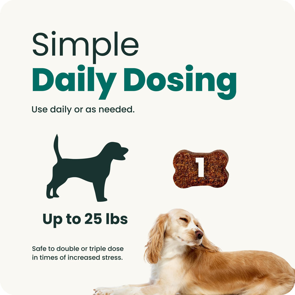 VETRISCIENCE petit chien détendu en voiture montrant effet pratique