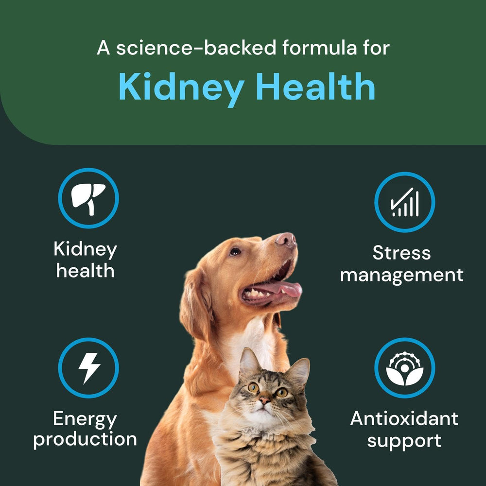 VETRISCIENCE chiot recevant masticable pour soutien fonction rénale