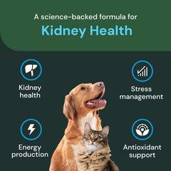 VETRISCIENCE chiot recevant masticable pour soutien fonction rénale