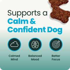 VETRISCIENCE chien en voiture recevant une chew pour réduire le stress du transport