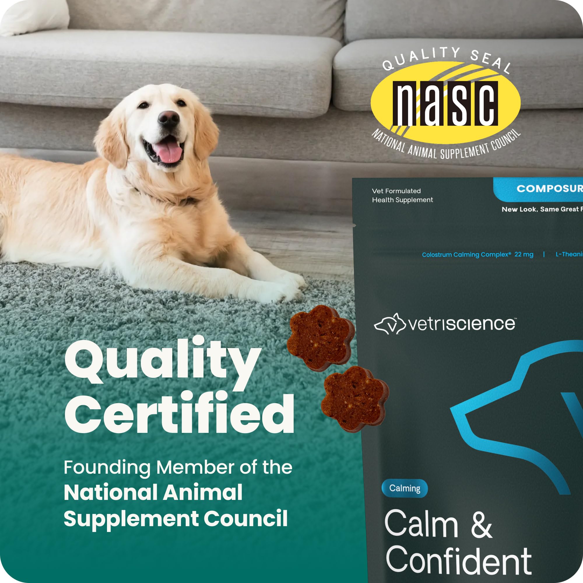 VETRISCIENCE chien senior accepte friandise favorisant confort comportemental