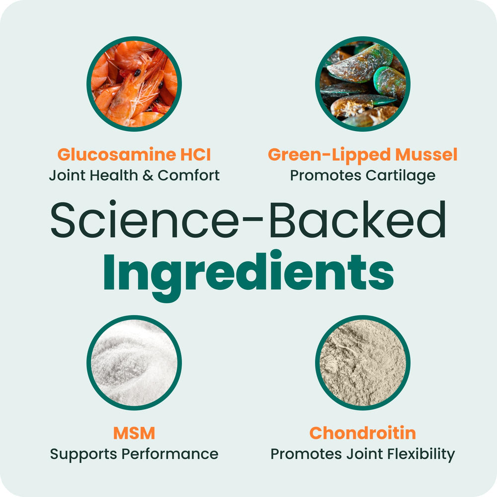 VETRISCIENCE comparaison taille comprimé avec main pour dosage précis