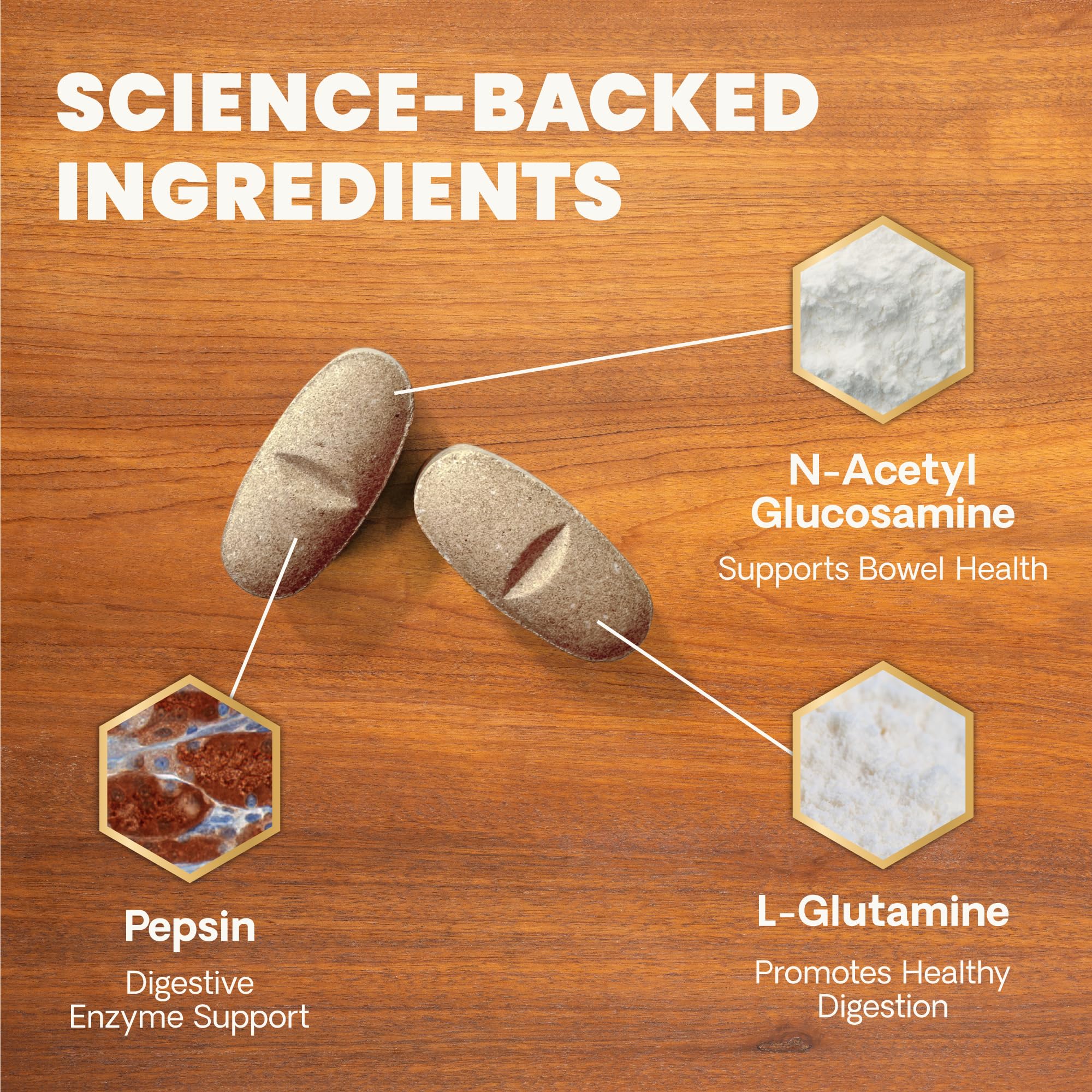 VETRISCIENCE étiquette lisible présentant la composition et les probiotiques clés