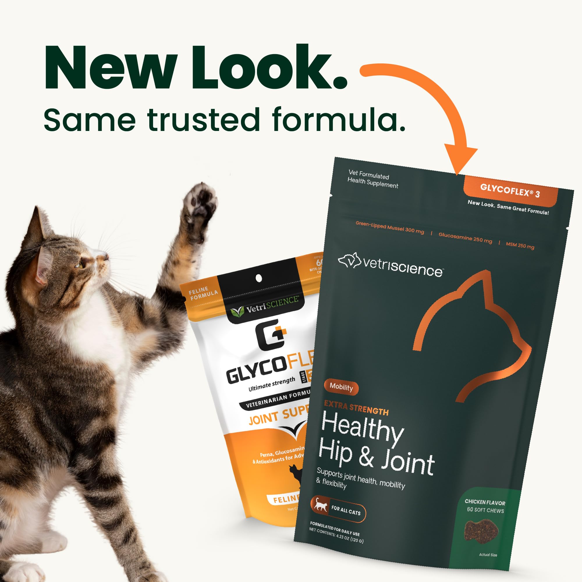 VETRISCIENCE gros plan sur la texture du comprimé, facile à mâcher pour chat
