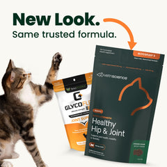 VETRISCIENCE gros plan sur la texture du comprimé, facile à mâcher pour chat