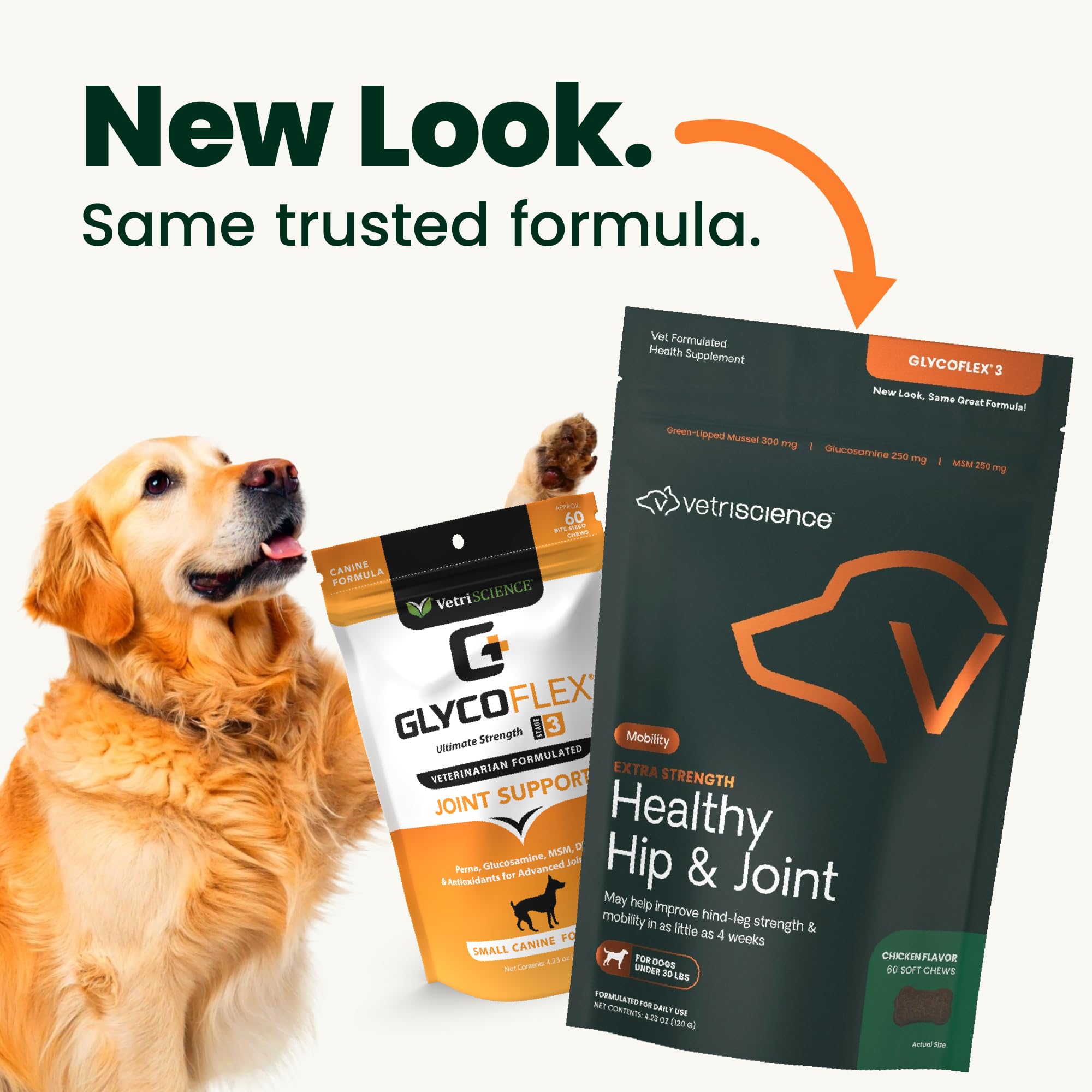 VETRISCIENCE gros plan sur la croquette montrant texture appétente pour chiens