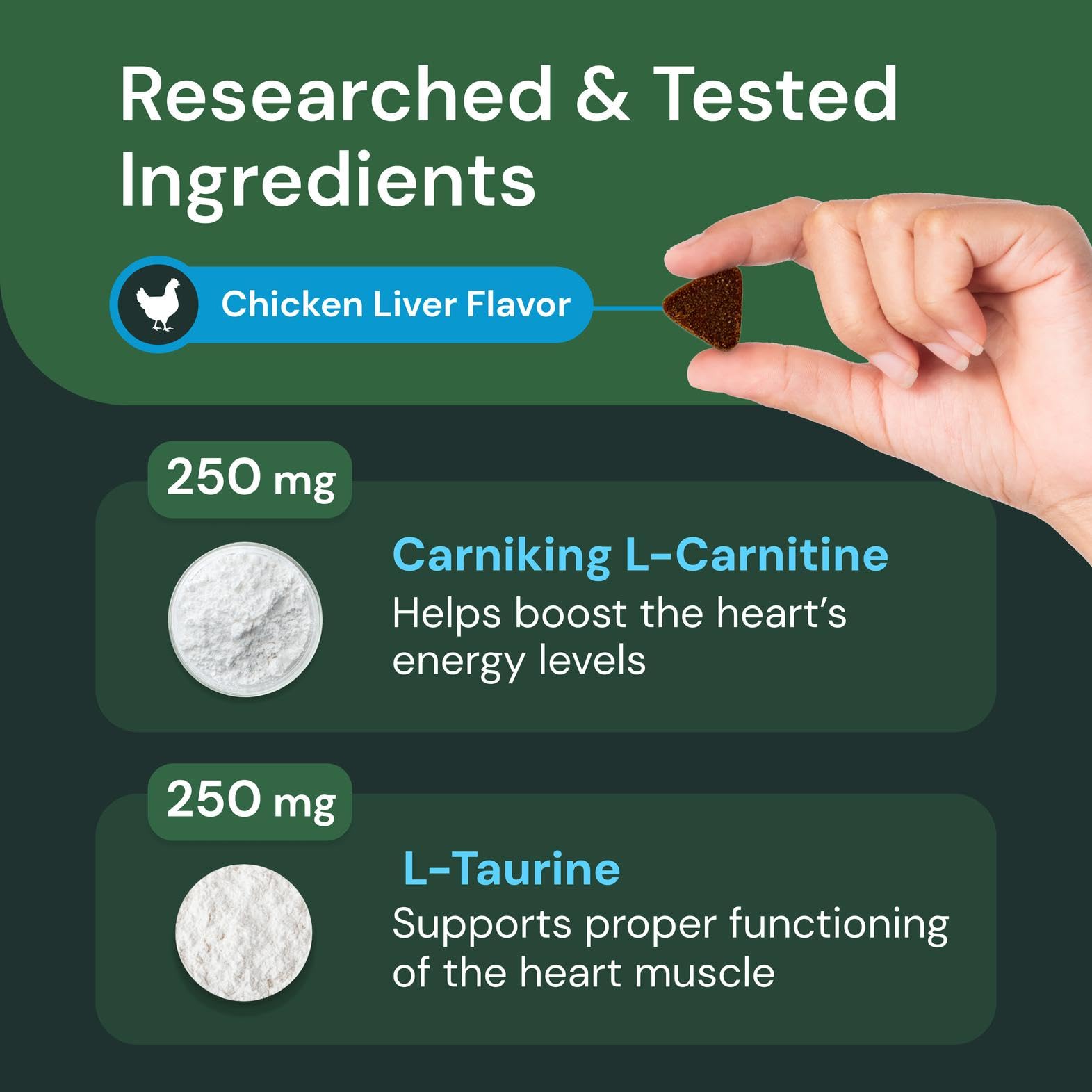 VETRISCIENCE chat dégustant un mastic pour un apport cardiaque appétent