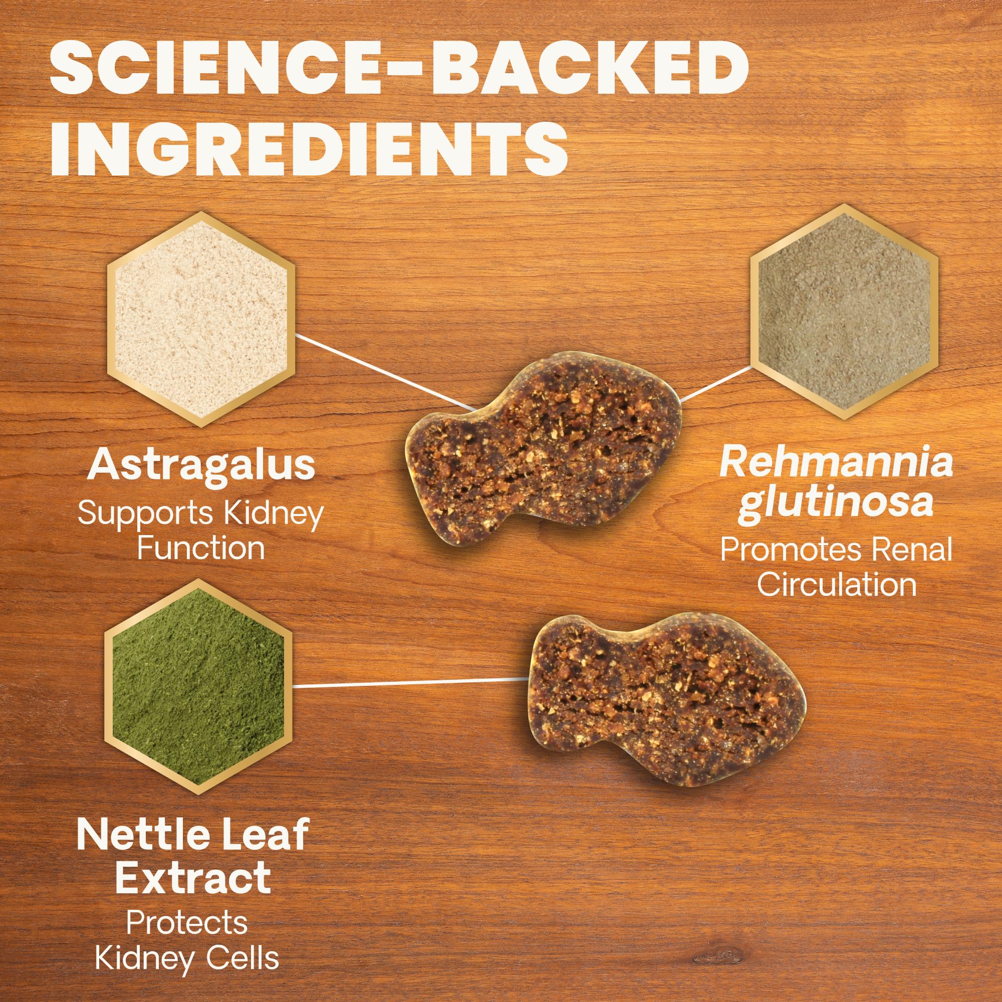 VETRISCIENCE ingrédients Rehmannia et Astragalus, soutien ciblé pour reins