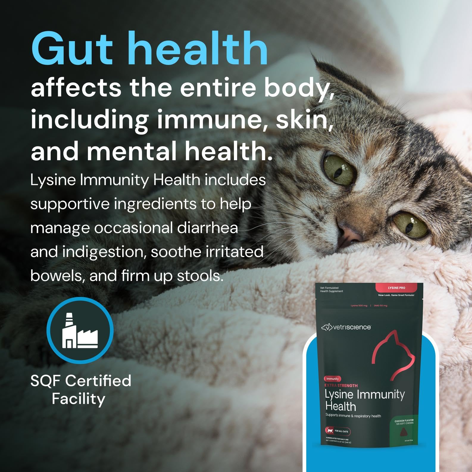 VETRISCIENCE scène salon chat relax démontrant usage quotidien simple