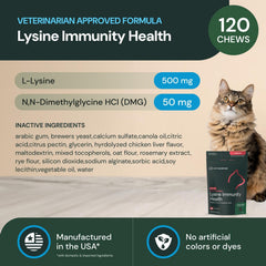 VETRISCIENCE chat acceptant une friandise illustrant bonne appétence