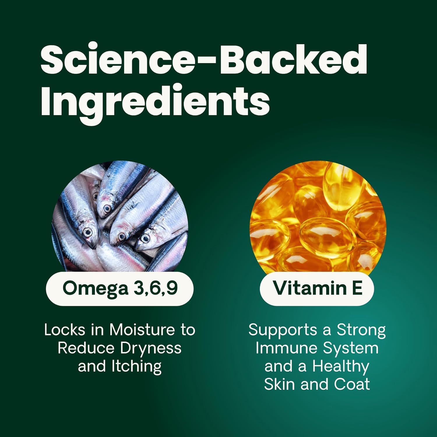 VETRISCIENCE étiquette nutritionnelle lisible pour vérifier ingrédients