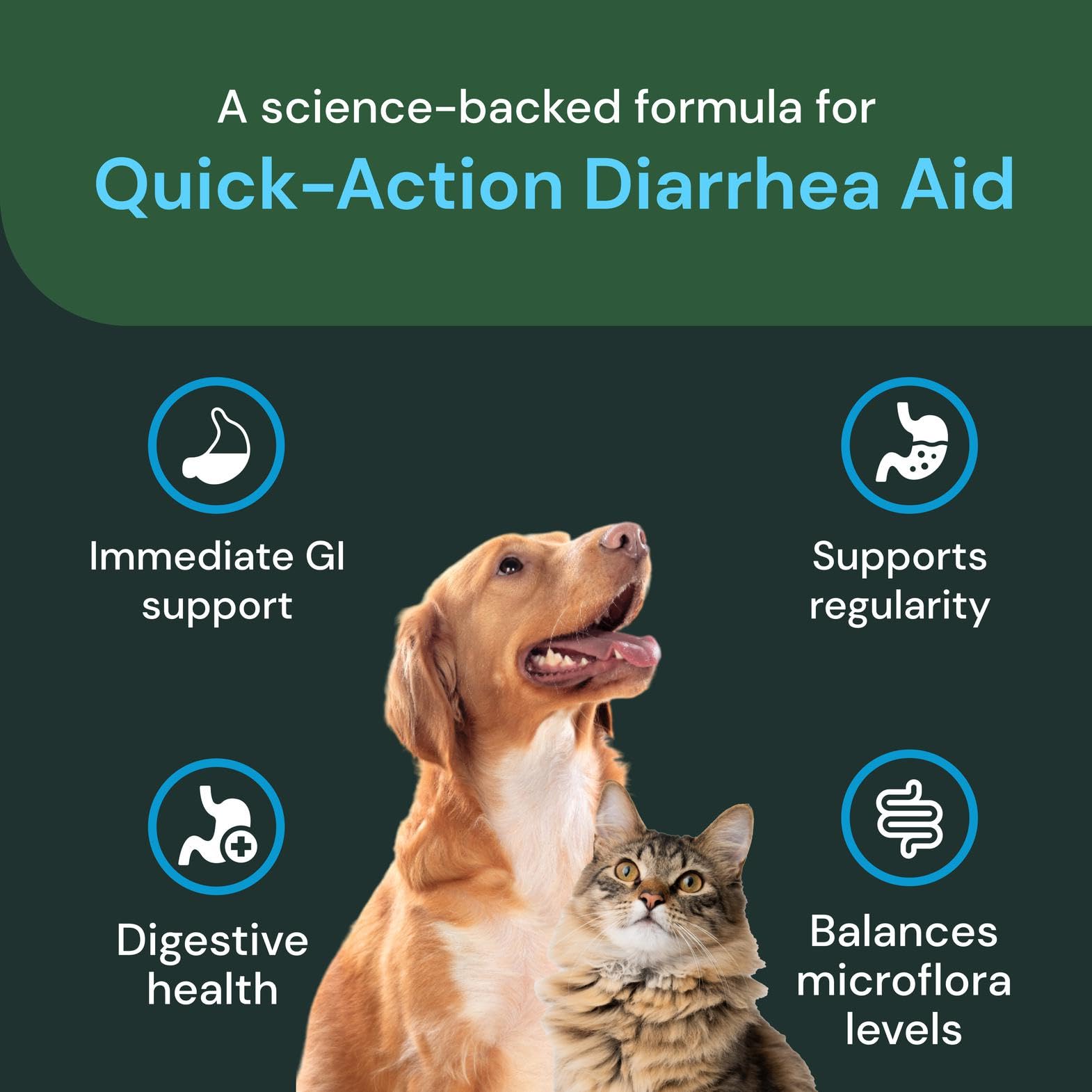VETRISCIENCE administration chez chien facilitant prise sans stress
