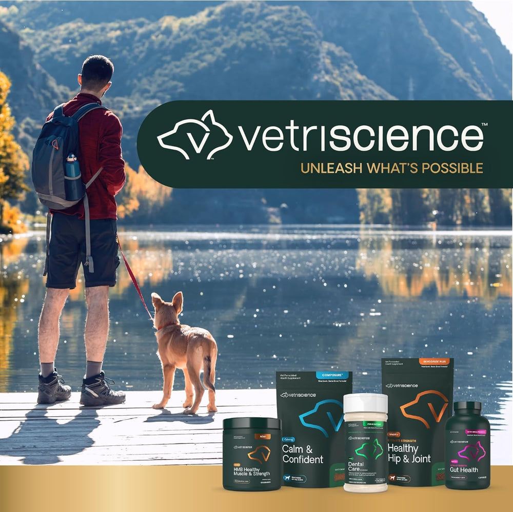 Chien content prenant VETRISCIENCE Pinchers Peanut Butter, réduit le stress du moment médicament