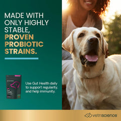 VETRISCIENCE gros plan chew, texture appétente et stabilité