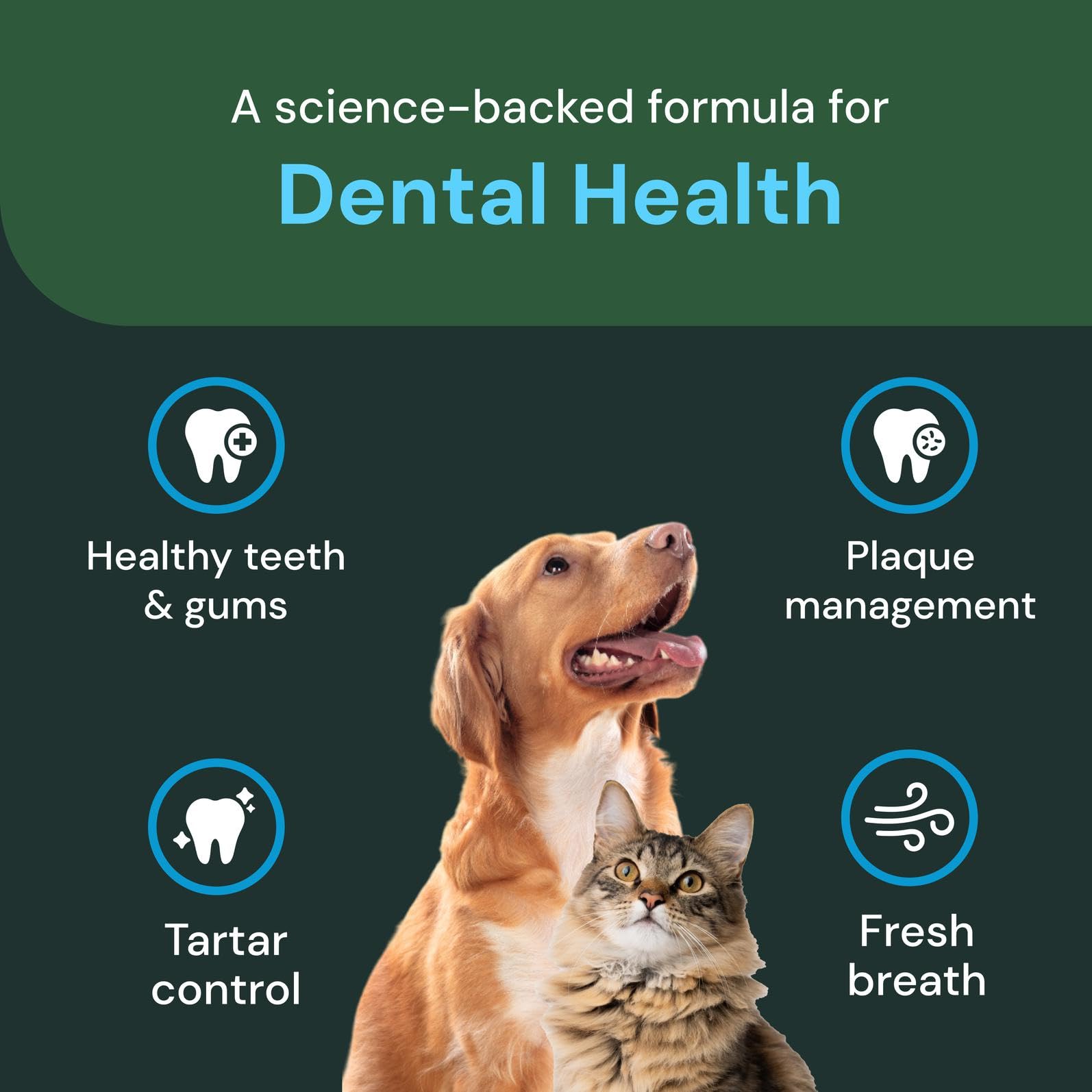 Chien mangeant repas saupoudré VetriScience pour meilleure haleine
