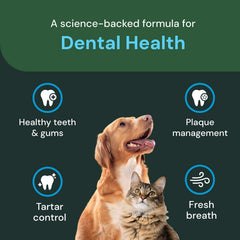 Chien mangeant repas saupoudré VetriScience pour meilleure haleine