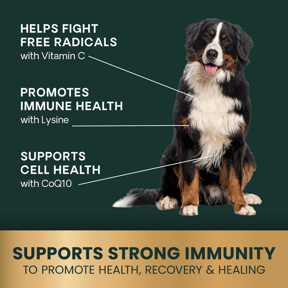 VETRISCIENCE étiquette lisible montrant posologie pour chiens moyens et grands
