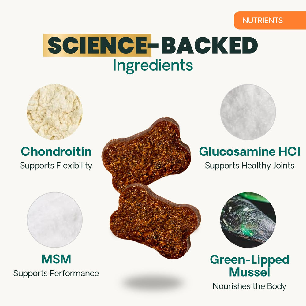 VETRISCIENCE gros plan sur friandise bacon, illustre texture appétente pour donner facilement