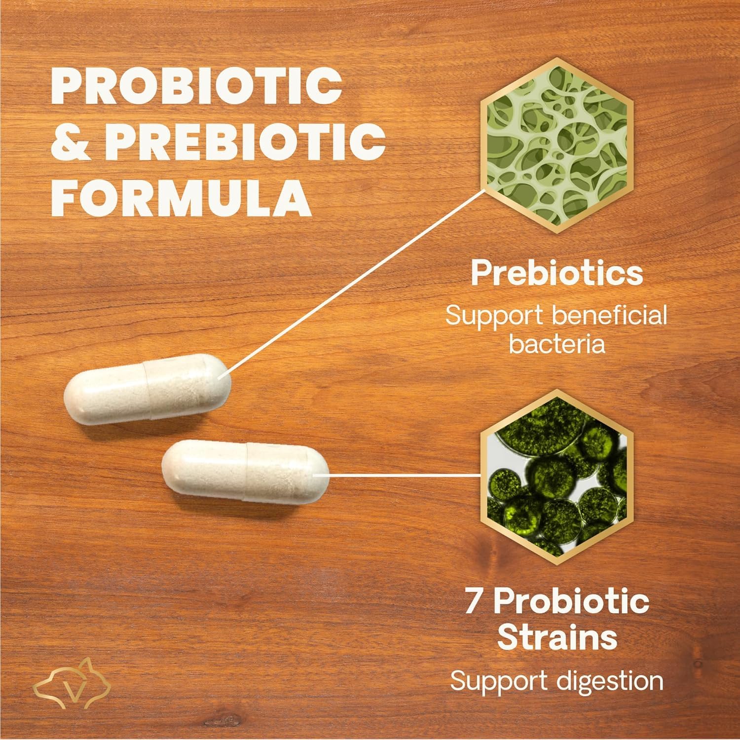 VETRISCIENCE gros plan poudre probiotique, bénéfice texture fine et sans lactose