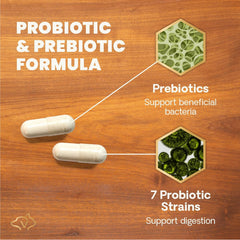 VETRISCIENCE gros plan poudre probiotique, bénéfice texture fine et sans lactose
