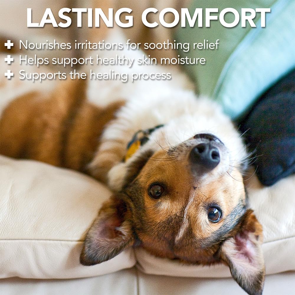 Vet's Best application sur chien démontrant soulagement local sans piqûre