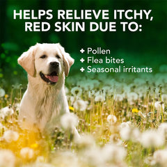 Vet's Best application du shampooing sur un chien pour calmer la peau irritée
