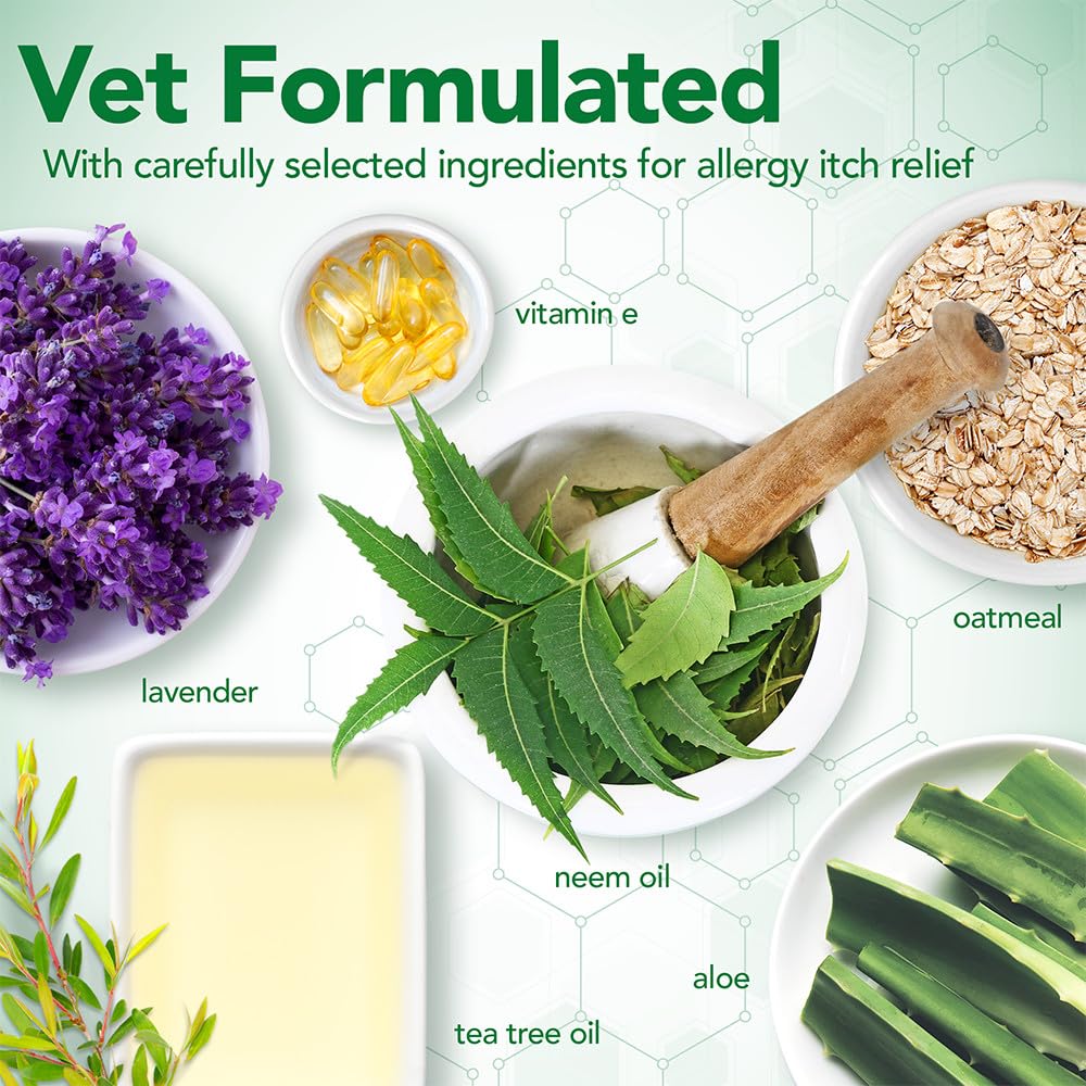 Vet's Best flacon à côté d'une main pour illustrer la taille et dosage pratique