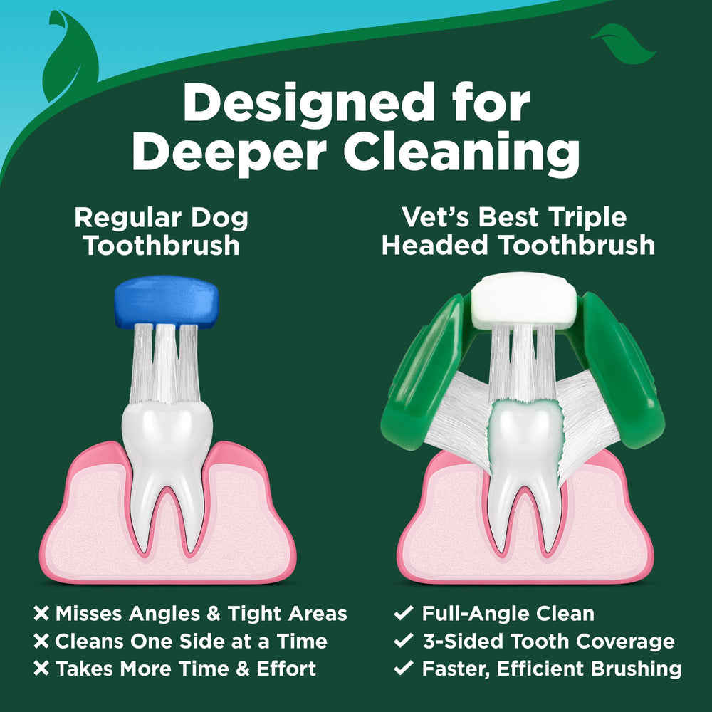 Vet's Best tube de dentifrice beurre de cacahuète visible pour appétence