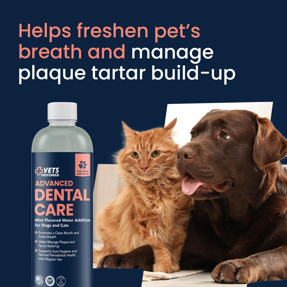 Vets Preferred chiot buvant eau traitée pour haleine fraîche