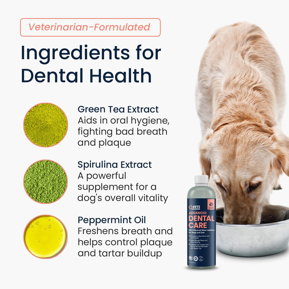 Vets Preferred gouttes dans l'eau montrant texture claire et dissolution