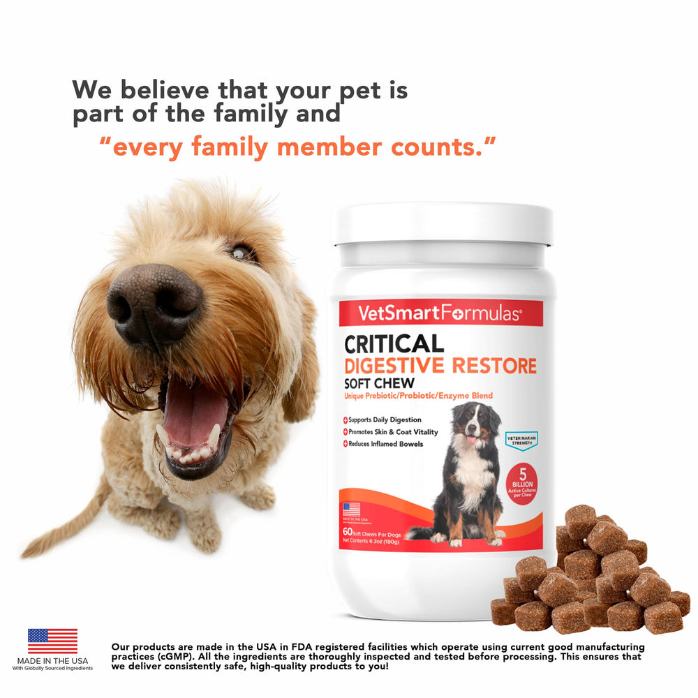 VetSmart Formulas chien mange un chew bénéfice confort digestif visible