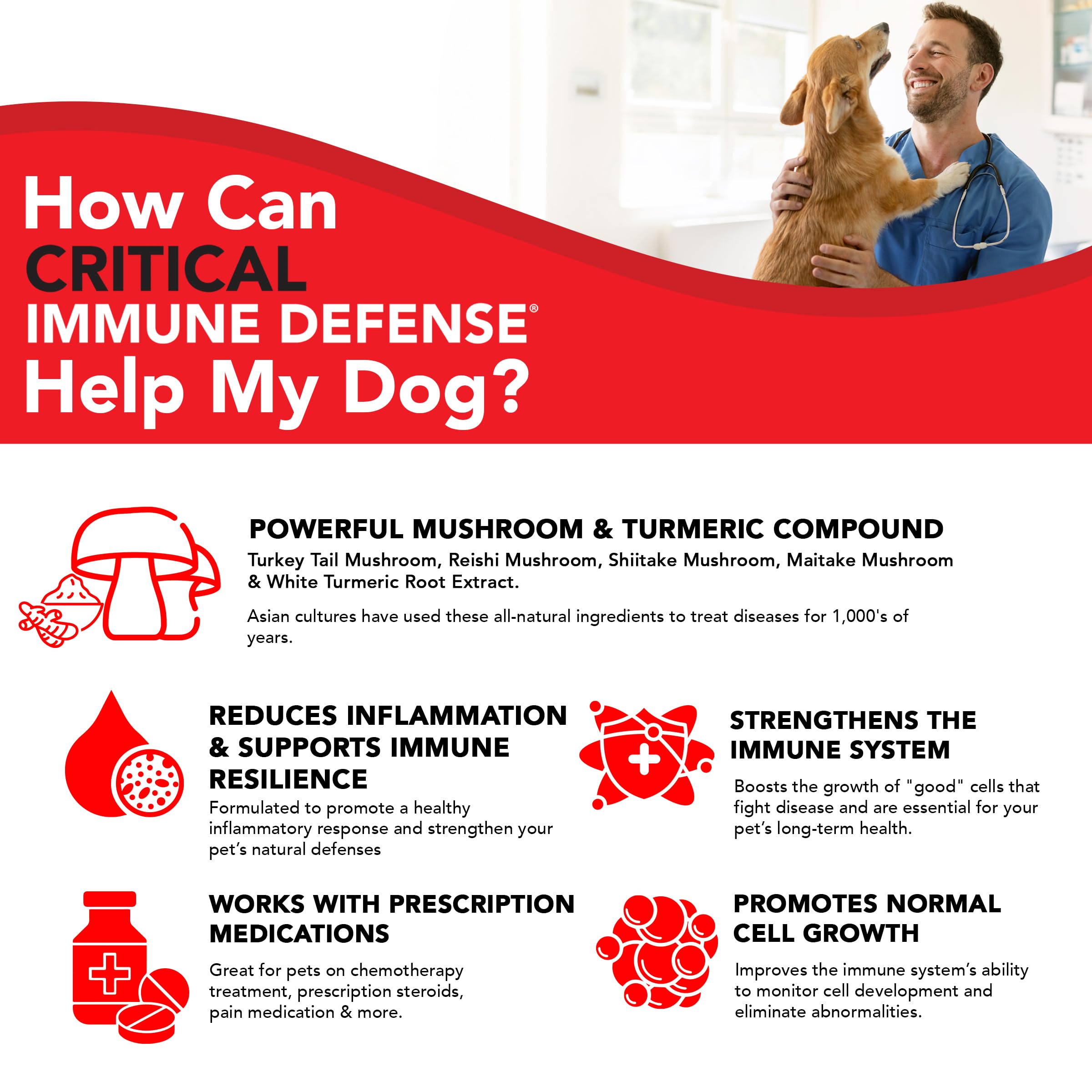 VetSmart Formulas chien et chat en intérieur symbolisant bien-être et vitalité