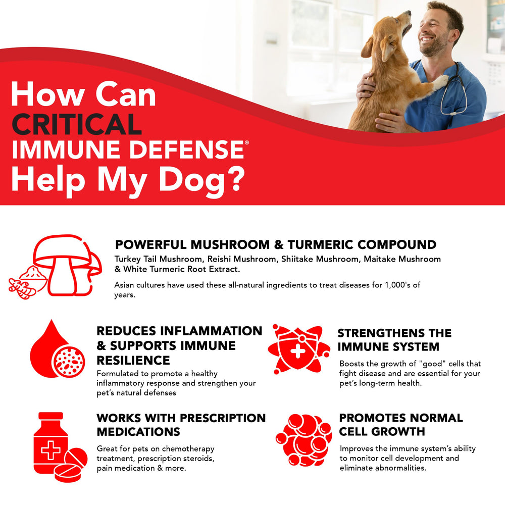 VetSmart Formulas chien et chat en intérieur symbolisant bien-être et vitalité