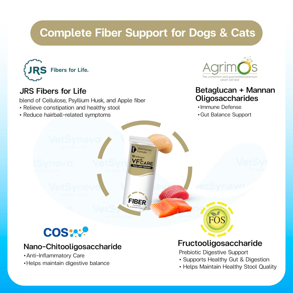 VFcare poudre texture vue rapprochée montrant fibres de qualité pour transit régulier