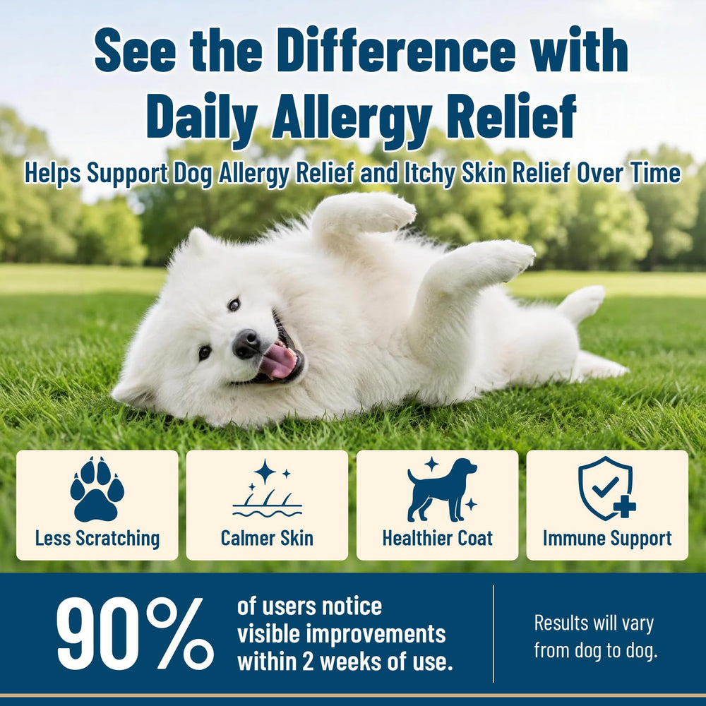 VICSOM comparaison taille chien montrant échelle et dosage pratique