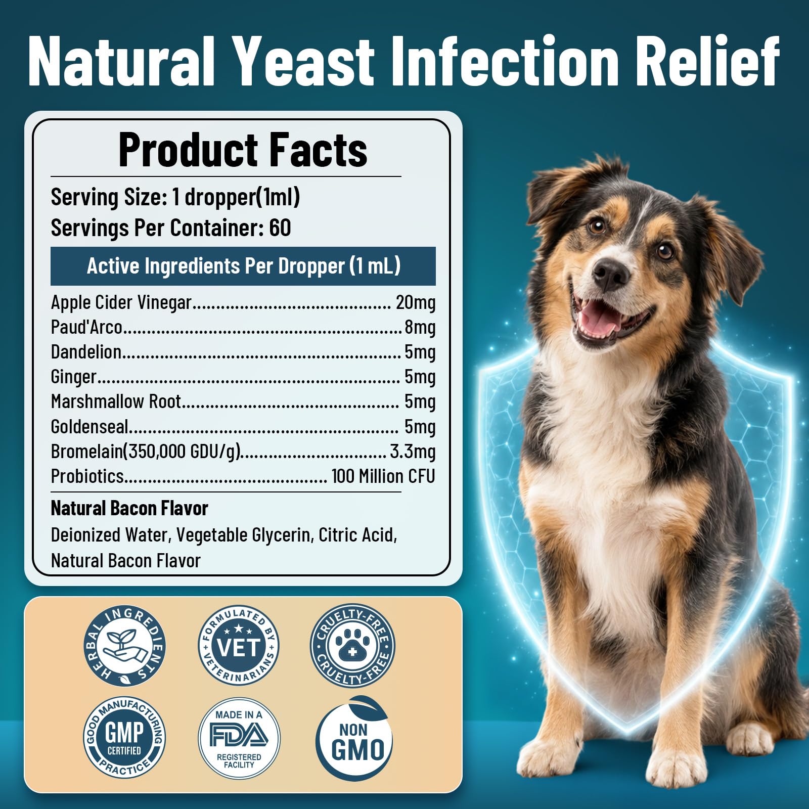 VICSOM produit en contexte familial montrant confort et routine canine