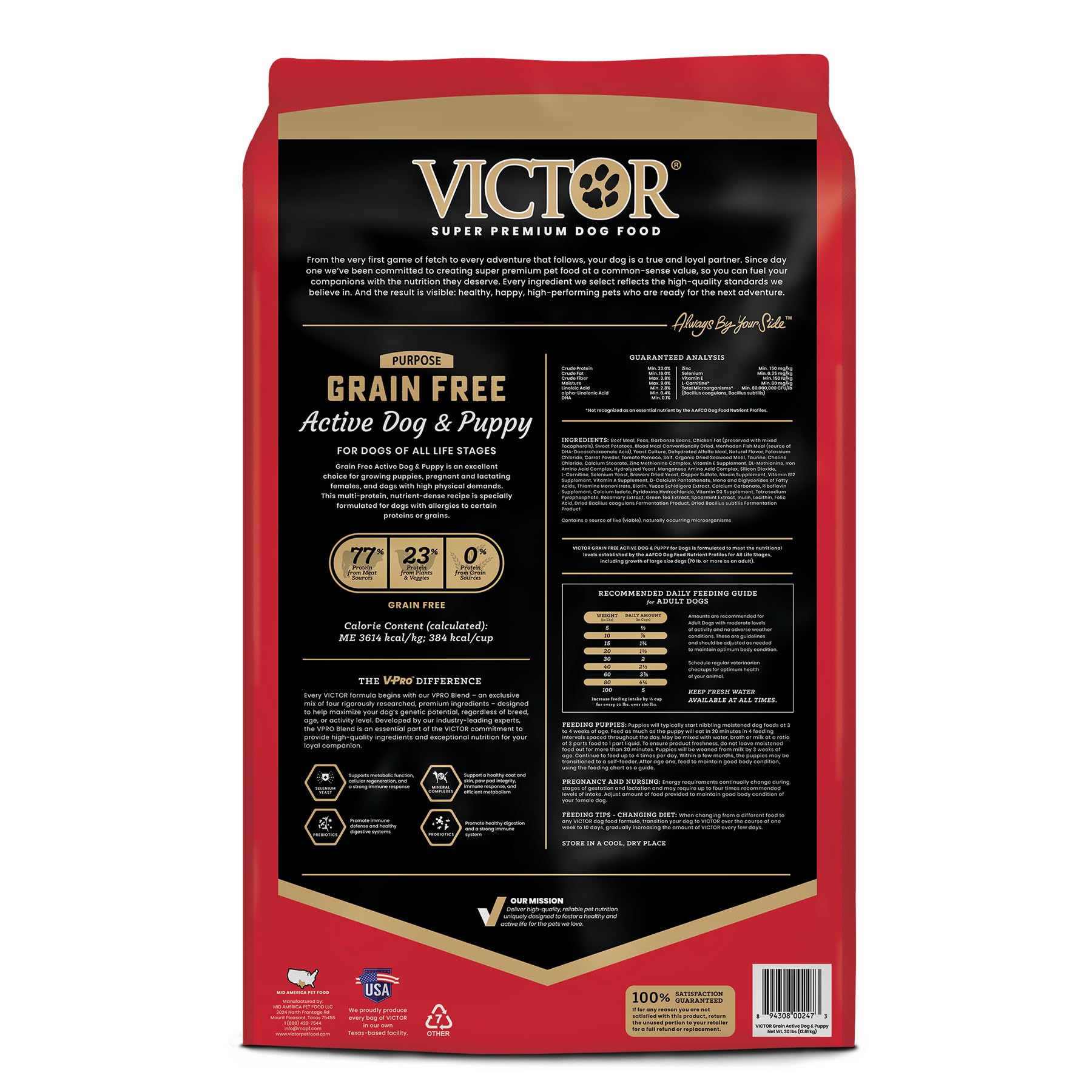 VICTOR croquettes servies dans un bol pour une alimentation riche en protéines