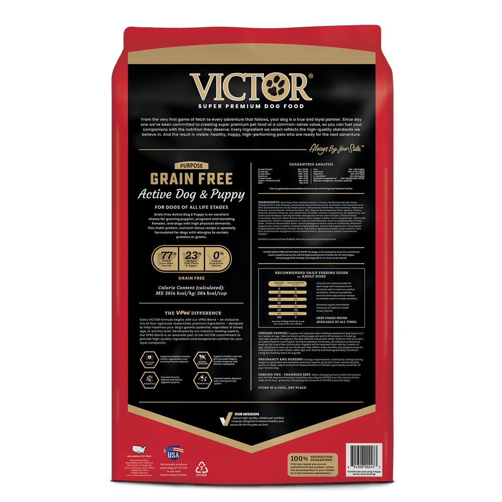 VICTOR croquettes servies dans un bol pour une alimentation riche en protéines