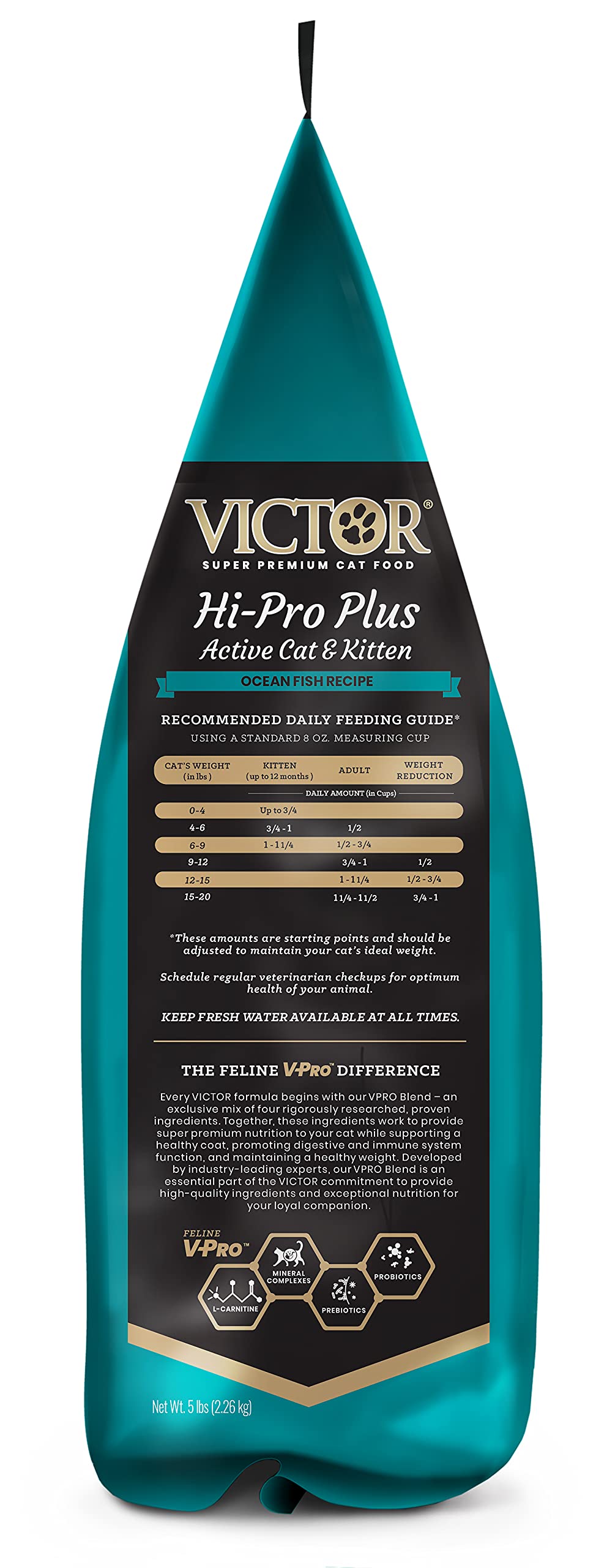 VICTOR chat adulte actif en extérieur illustrant endurance et condition physique