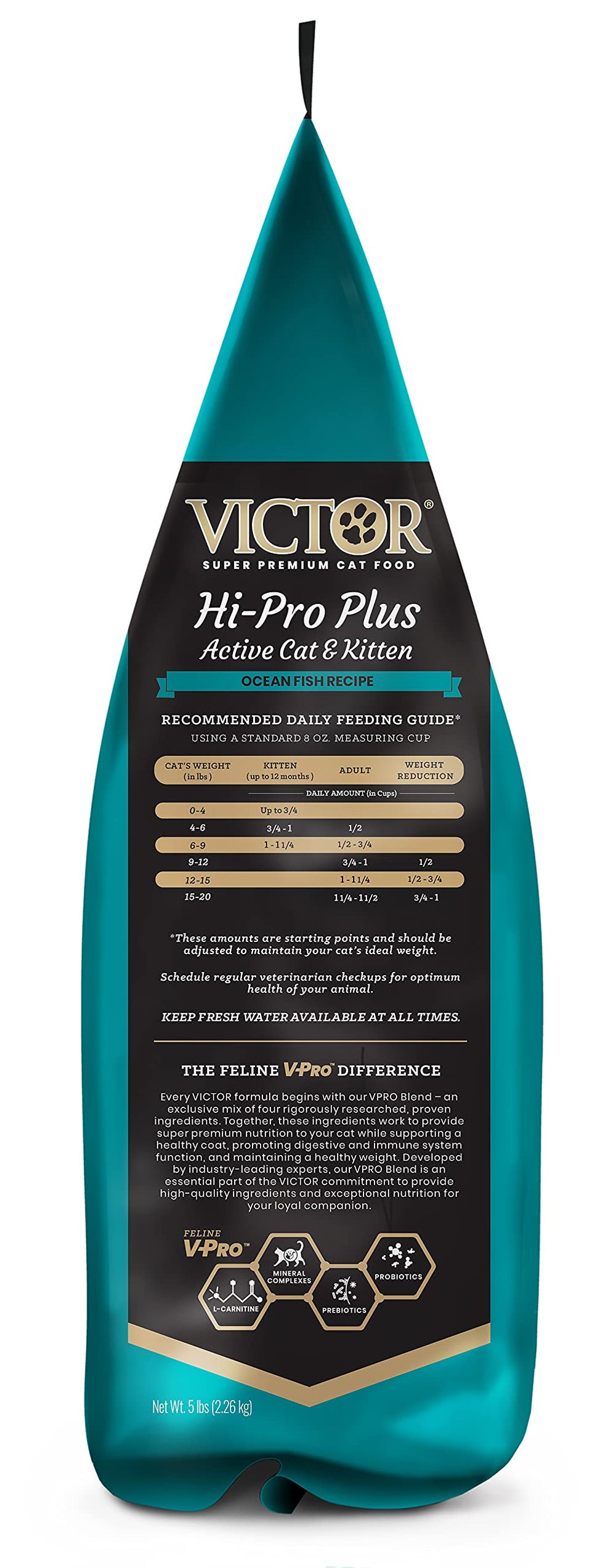 VICTOR chat adulte actif en extérieur illustrant endurance et condition physique