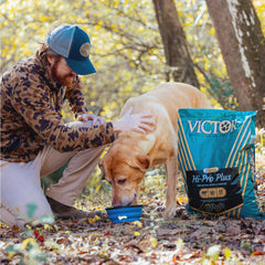 VICTOR ingrédients viande illustrant bœuf poulet porc et poisson nutritifs