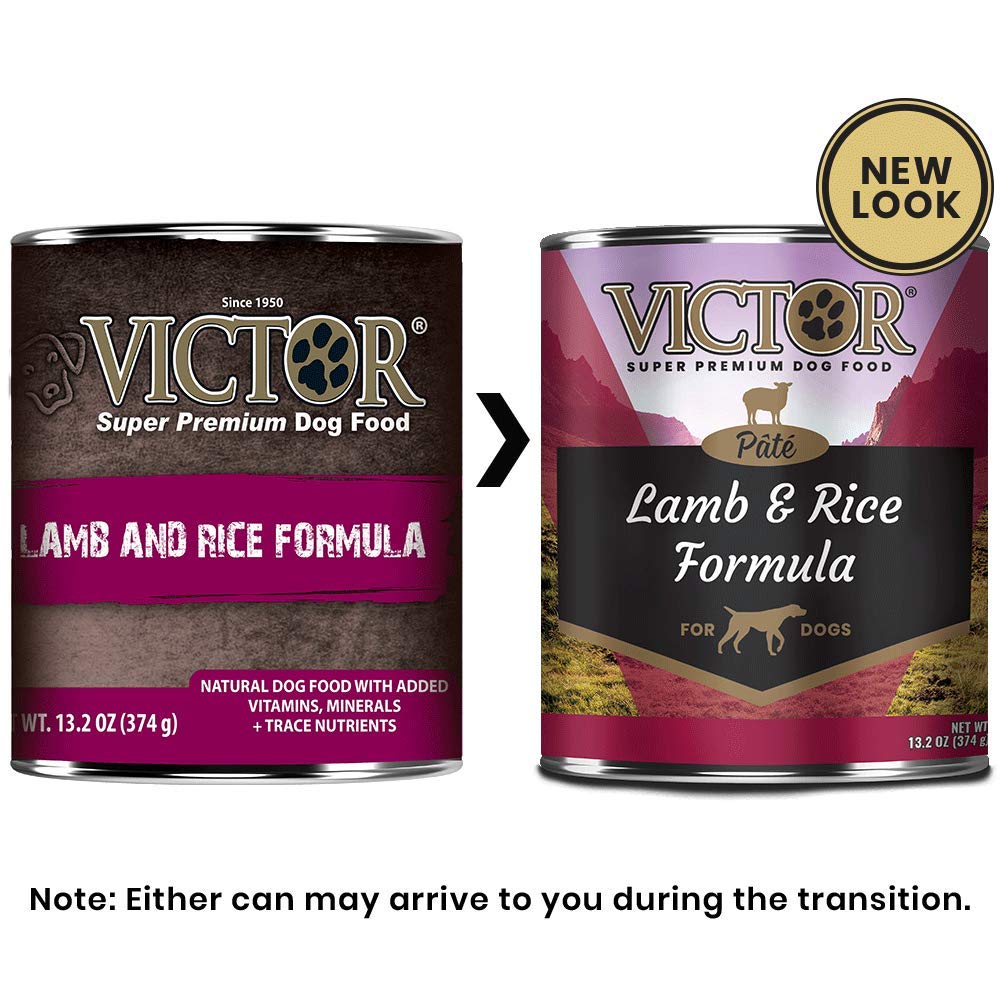 VICTOR pâté ouvert montrant texture onctueuse et appétence pour chiens