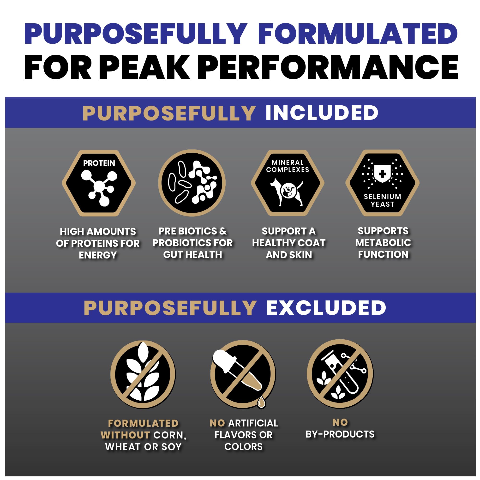 VICTOR bol servi à un chiot illustrant transition facile et appétence
