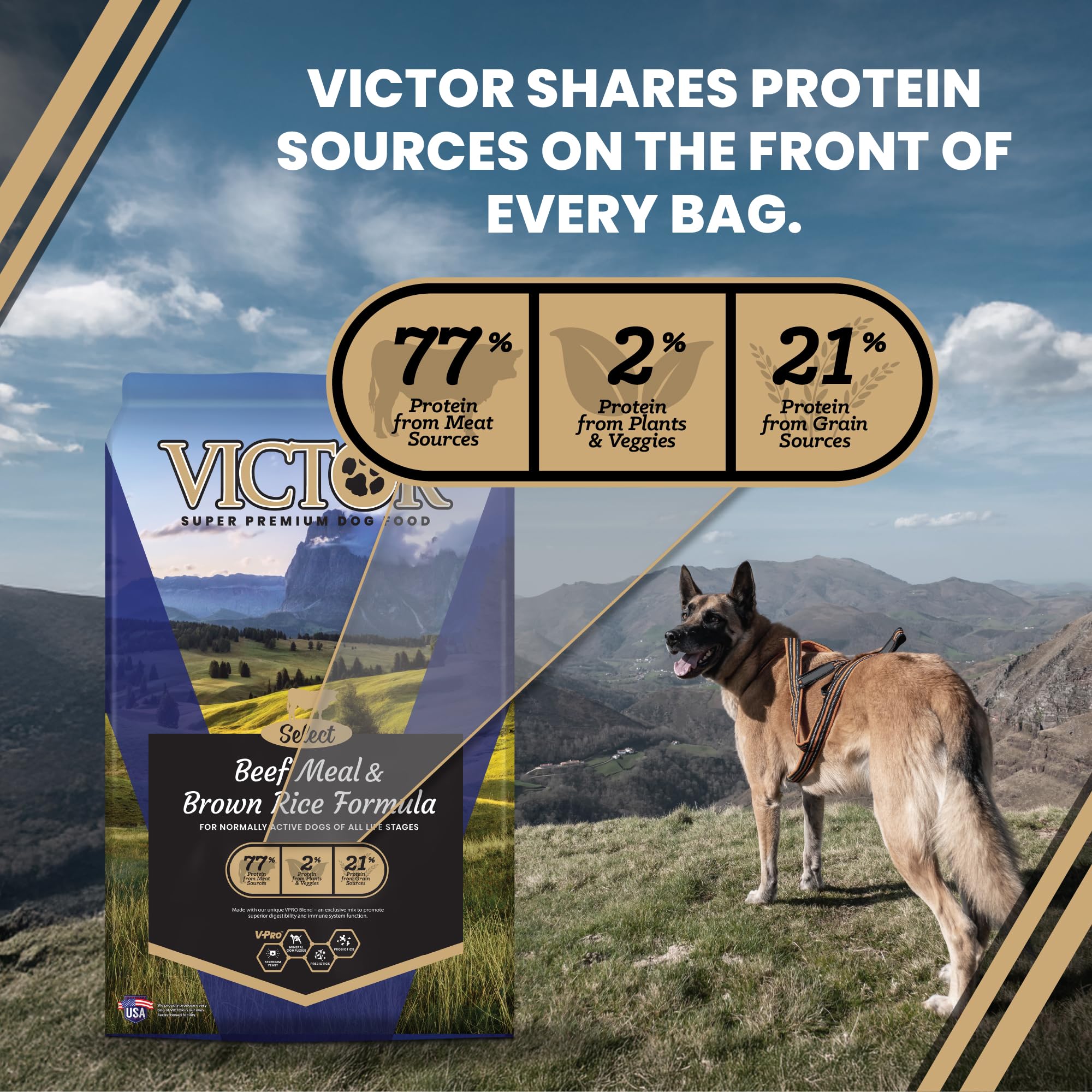VICTOR beef meal concentré comme principale source de protéine élevée