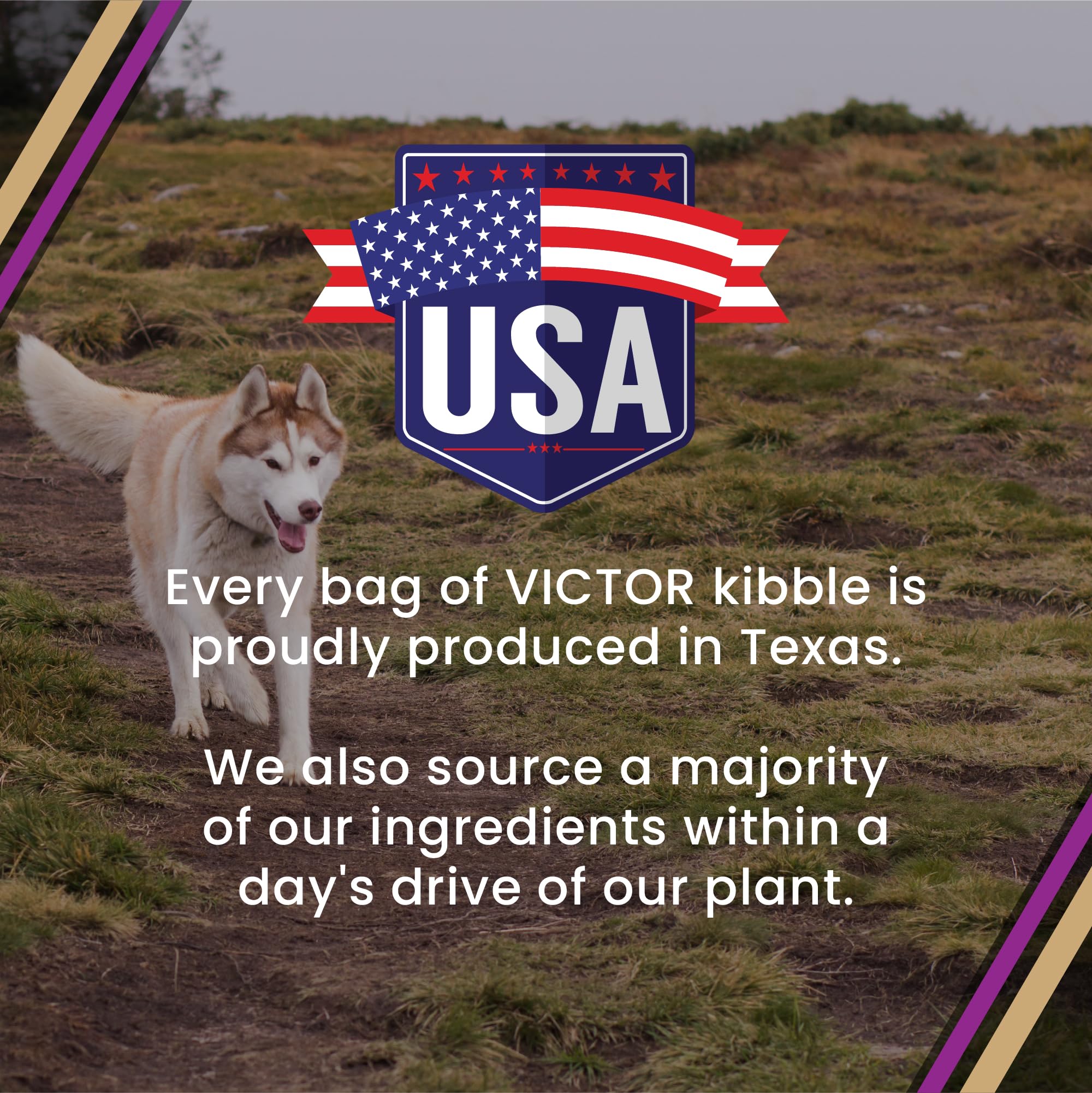 VICTOR usine Texas production locale montrant traçabilité et qualité
