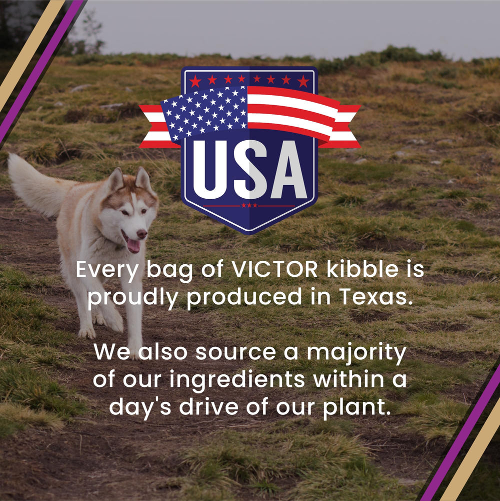 VICTOR usine Texas production locale montrant traçabilité et qualité