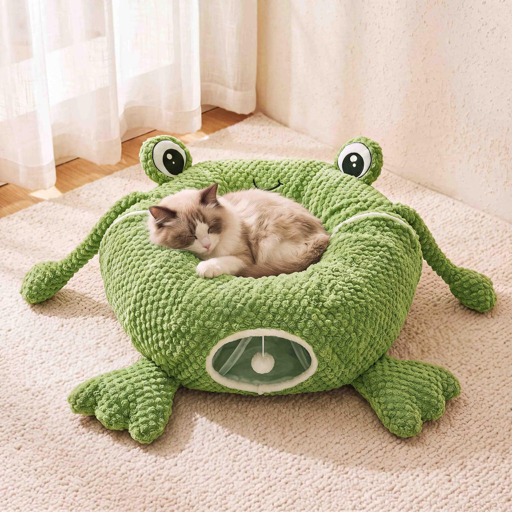 VIEFIN chat à l'intérieur illustrant espace de jeu et cachette