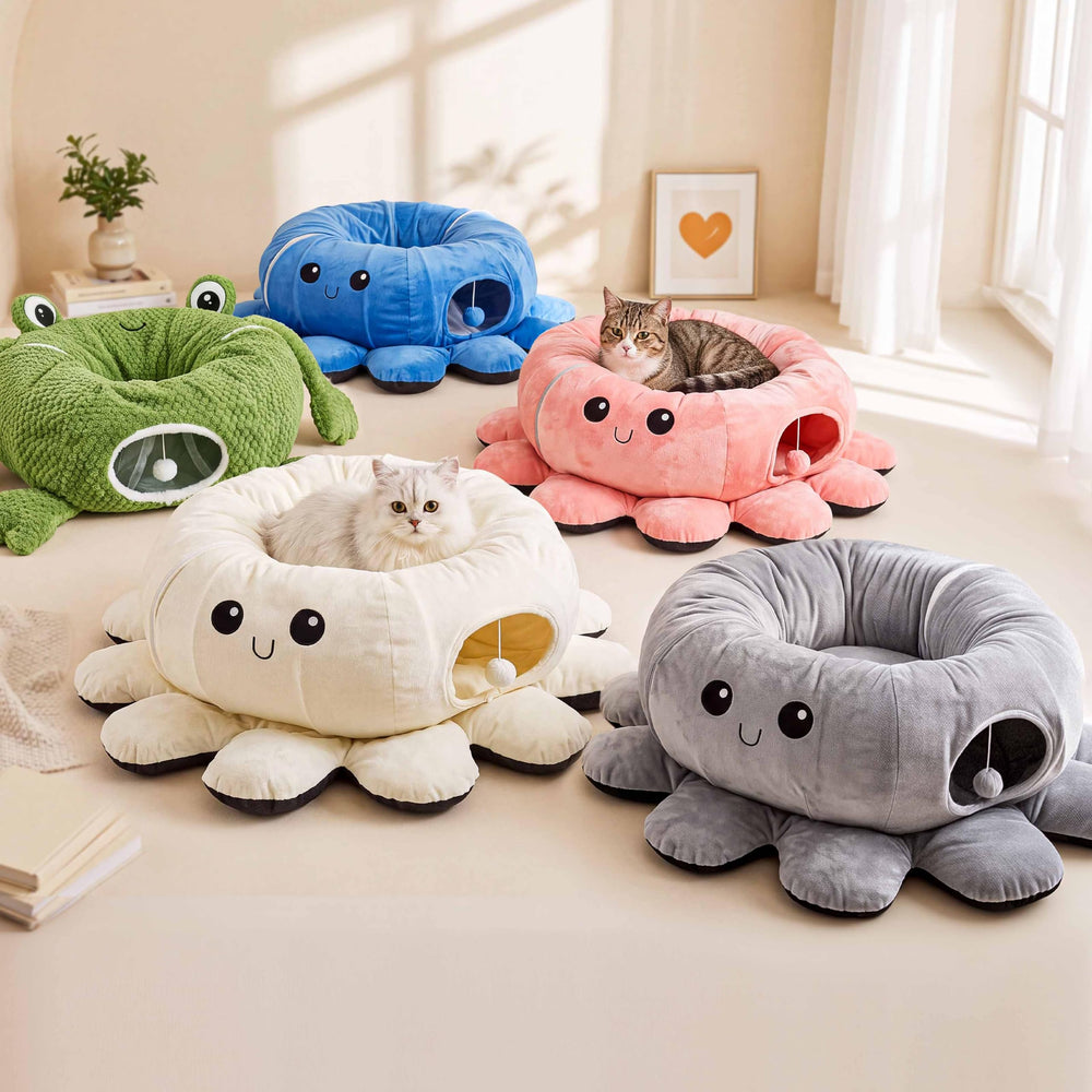 VIEFIN chat qui joue activement montrant amusement et engagement