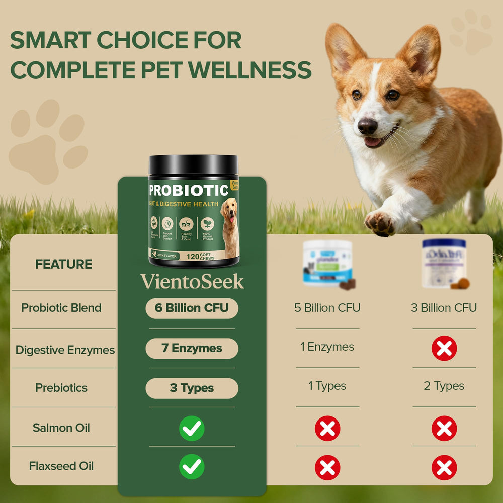 VientoSeek chiot acceptant la friandise bénéfice appétence